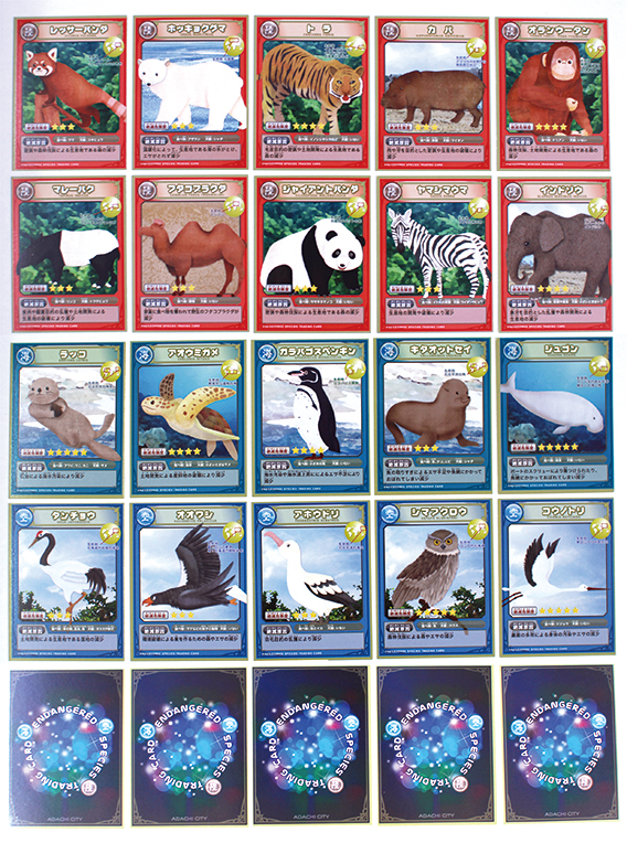 絶滅動物トレーディングカード アメージングデザイン 東京