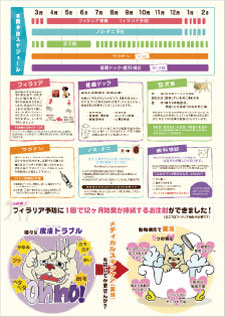 DMデザインの実績2