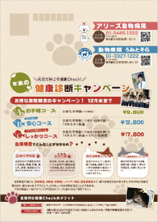 DMデザイン・DM印刷の実績4