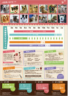 DMデザインの実績5