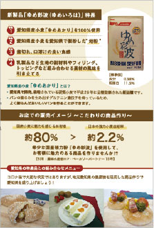 DMデザインの実績11