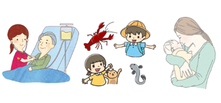 イラスト制作